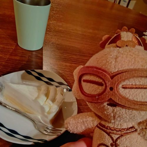 チーズケーキ🧁ボクも食べていいの？家主のママがくれたよ🧀