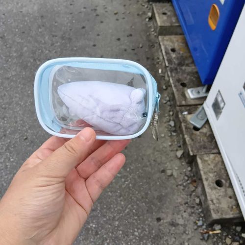 ナメクジぬいと散歩したよ🚶ポーチの中で横向きになっちゃった💦そしたら雨が振ってきたよ☔