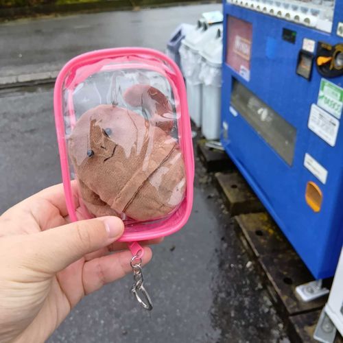 今日は雨だけど傘さしてウォーキング行ったよ🚶ハニワぬいちゃんはポーチだから濡れないね☔