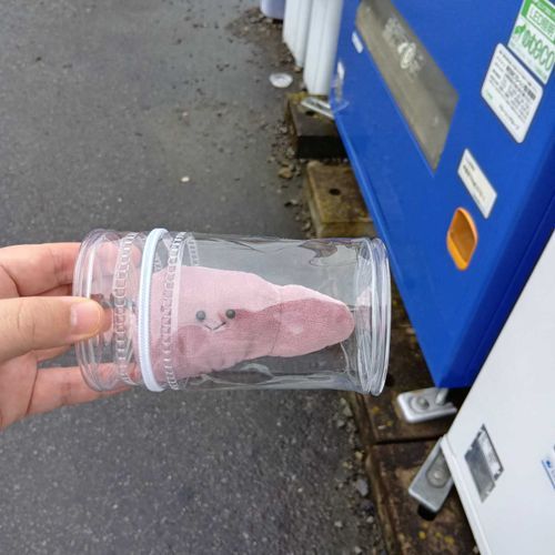 かんぞうの、ぬいだよ！毎日オルニチンとって元気に過ごそう💪