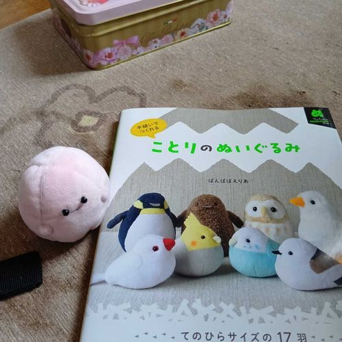 材料集まったからこの本で小鳥を作ってみるよ🦜まずはコザクラインコ。