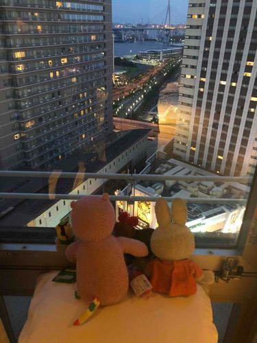 某テーマパークのホテルの窓から、夜景。