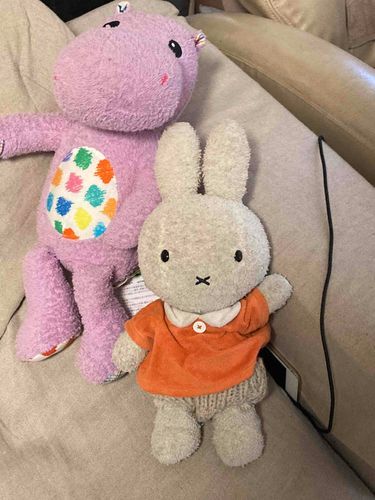 この子はペロの友達のミッフィーちゃん、今年21の年季が入ってるペロの大先輩だよ