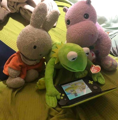 久しぶりにアプリ開いたらふわもこSNSが賑わっててペロは嬉しいよ😭
部屋汚くてごめん