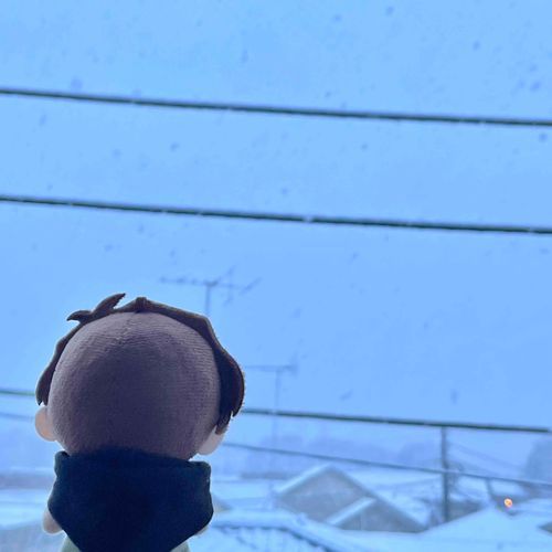 はじめてゆきをみた！
