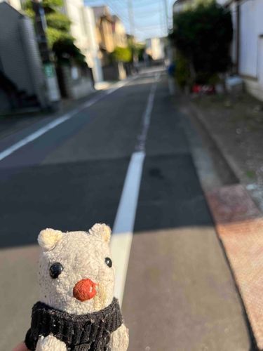 にしび