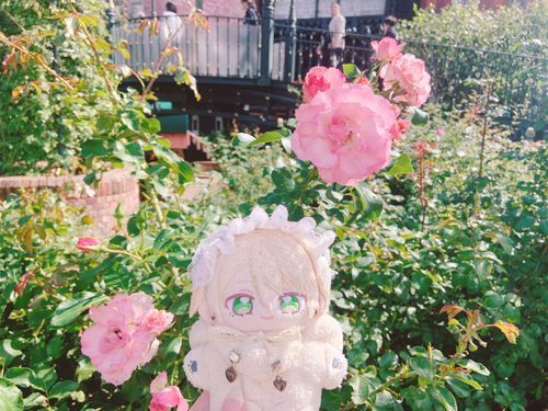 おはな、綺麗だね🌷➰