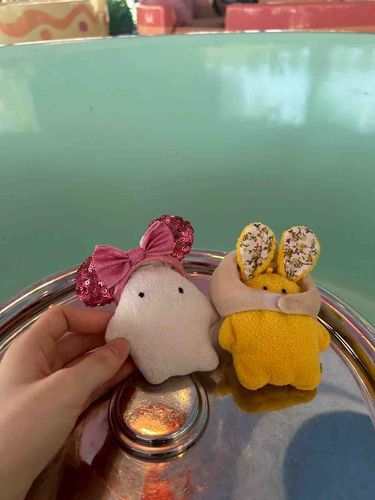 7月にディズニー行ったしゅー、おいらはいつものカチューシャで、からしちゃんは前にカチューシャ買ったけどサイズ大きかったから今回新しくカチューシャ買おうとしたらからしちゃんサイズのかぶりものがあったからそれにしたしゅー！これはアリスのティーパーティー☕️