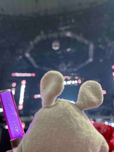 櫻坂46のライブに行ったしゅー！！
親方がすごい席に当選したからメンバーが目の前に、、いたしゅー、、、、！！！興奮しゅー！！めっちゃ最高だったしゅー！
最近のガチャガチャは凄いしゅーね、おいらのサイズのペンライトがあってしかも推しのメンカラのペンライトで楽しむことができたしゅー！るんるん