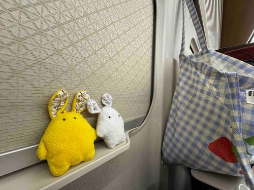 ガタンゴトン🚃🚋💭