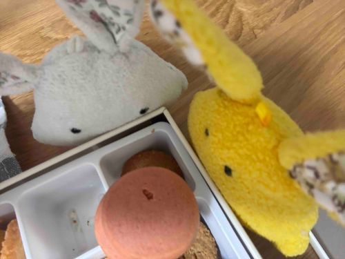 クッキー、じゅるり
うまそうしゅー、からしちゃんと取り合いしゅー