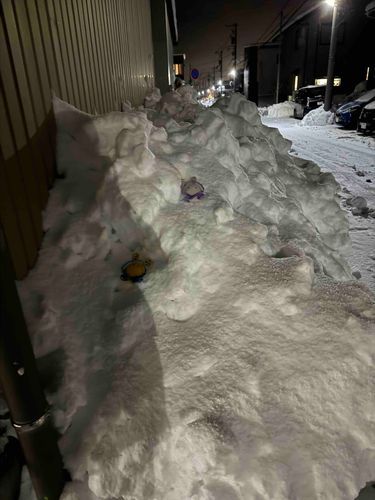 雪山登山しゅー、寒い