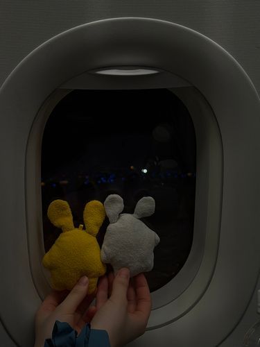 おいら達初の飛行機しゅー！！！
夜だから何も見えない、
