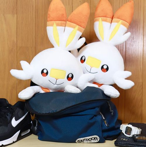 メルトとー？🐰タルトだよ！🐰
ぶるーすと暮らしてるよ！
にんじんすき！ピーマンきらい！
おふろきらい！ぶるーすはね…ちょっとすき！よろしくね！

※ここではXでぶるーすが投稿してるヒバニーちゃん達との生活を描いた写真をヒバニーちゃんの視点でお送り致しますよろしくお願いします！