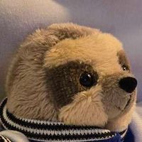 こつぶ