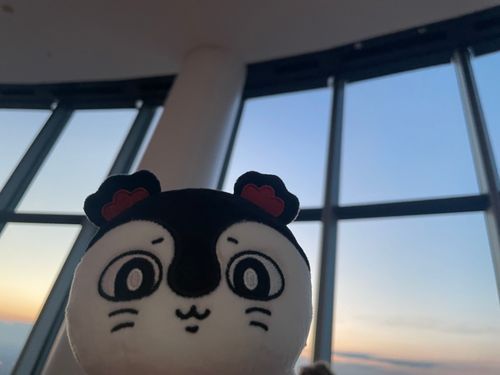 空きれいなの