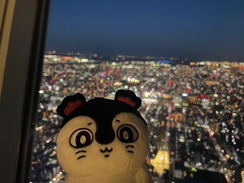 夜もきれいなの