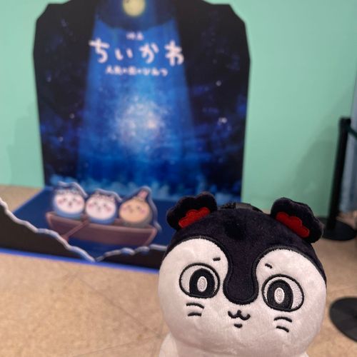 なんかずっとくらいとこ