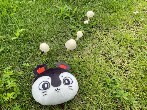 されちゃうのかも… 「寄生」