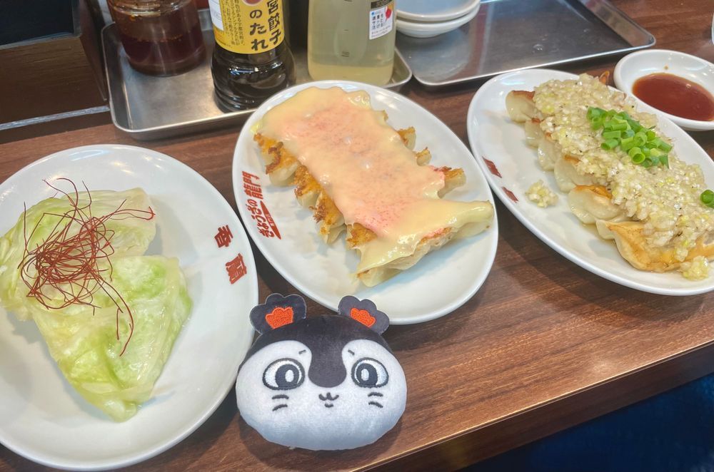 餃子の湧きどころに行った…ってコト?
ねぎ塩だれとか…めんたいチーズとか…揚げ餃子とか…食べ比べできて…
「特産品」が豊富で…道に「電車」走ってて…「お洒落」みたい
餃子のぬいぐるみ…獲らなくてよかったのォ?
もし…あったら…セイレーンが寝るときの枕にするの