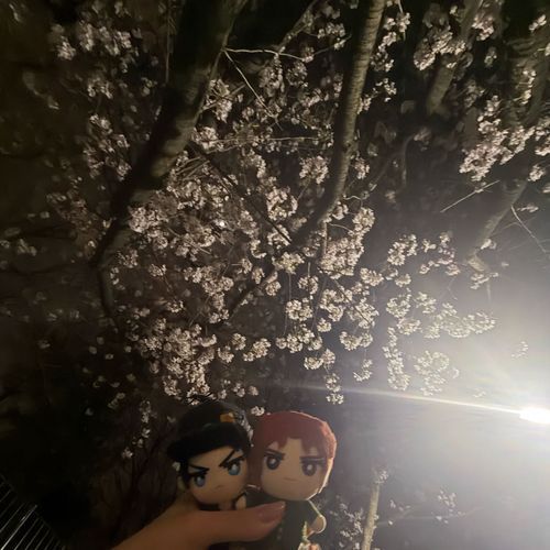 🌸