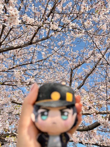 🌸