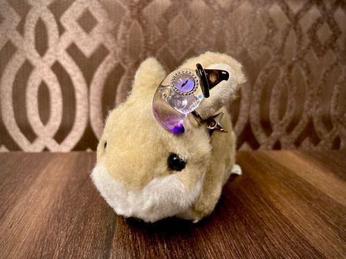 うさぎです。ハッピーハロウィン！