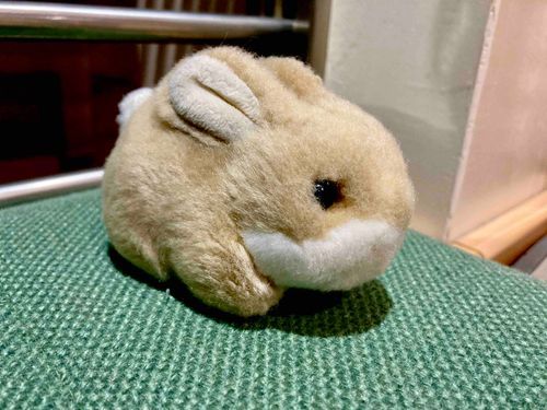 うさぎです。お久しぶりです。