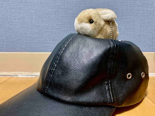 うさぎです。おぼうし山に登頂！