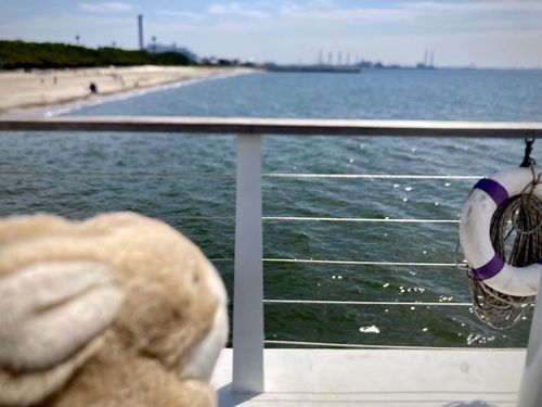 うさぎです。また海を見てきました。