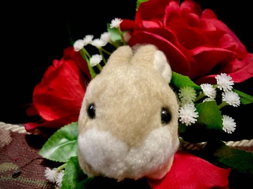 うさぎです。薔薇の花です。