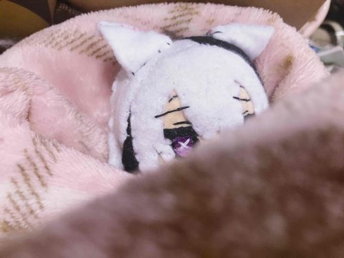 初めまして、華狐(はなぎつね)と申します…♪
　此方には、今日初めて来たので まだまだ勉強中ですが…仲良くできたら嬉しいです…！
　　よろしくお願い致します…！(❁ᴗ͈ˬᴗ͈)

#はじめての投稿 