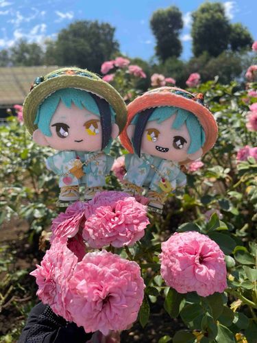 まなつの ばらえん🌹✨