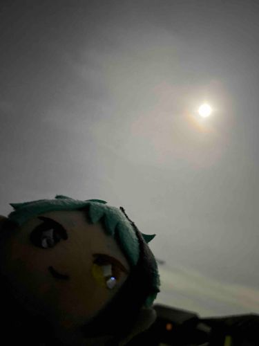 🌑🌒🌓🌔🌕🌖🌗🌘🌑

おつきさまです✨️


🌑🌒🌓🌔🌕🌖🌗🌘🌑