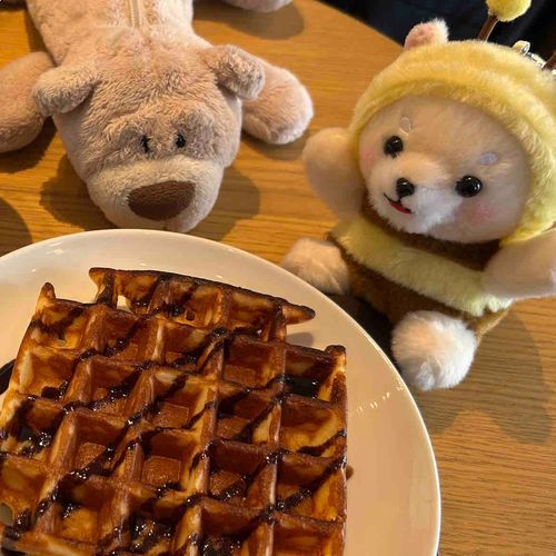 さすけくんとすたばに来たよ！