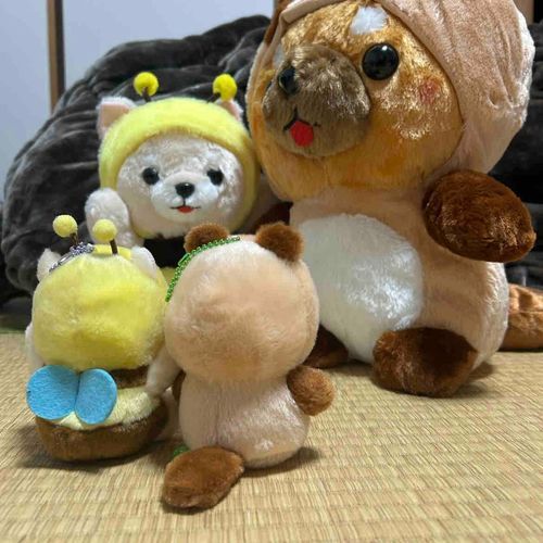 (……おっきいなあ…)
(……ちっちゃいなあ…)