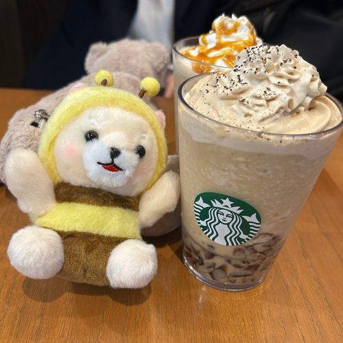 さすけくんと すたば いった！
ぼくが行ったとこは こーひーぜりー だったよ☕️