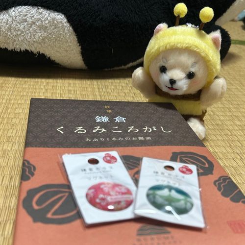 GWどこも連れてってもらえなかったから校外学習ついていったよ！
これはおみやげだってー！