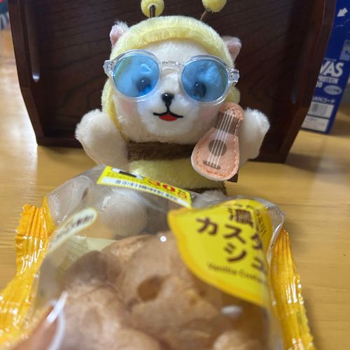 スリコであらたなグラサンげっと🕶
そしておやつのしゅーくりーーむ！