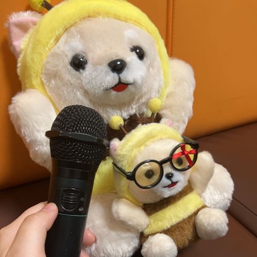 びいたくんといっしょにカラオケ連れてってもらった！！！🎤