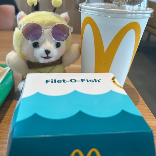久しぶりにまっくいった！
フィレオフィッシュにハマってるらしいよ🐟