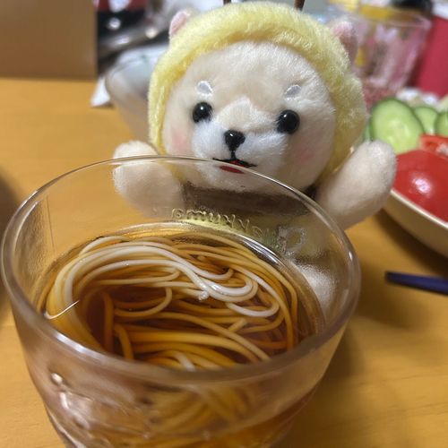 夏といえばそうめん！！
ちょっと食べさせてもらったよ✨
そして今日はぼくがお家に来てから1年のたんじょうび！