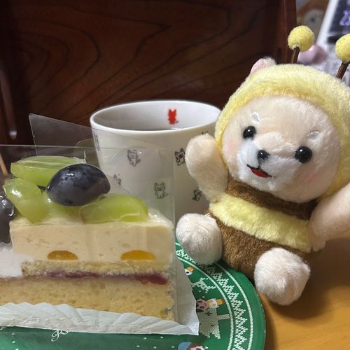 あきのケーキ！！🍇
おいしかった！
