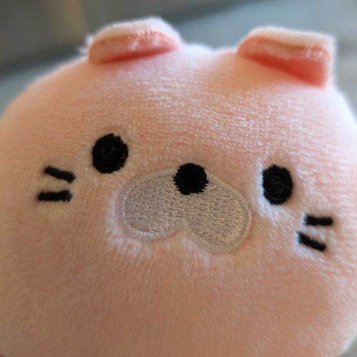 はいしゃさんにおびえる かいぬしの おもりをしてきた
すごいおとが ひびいていた