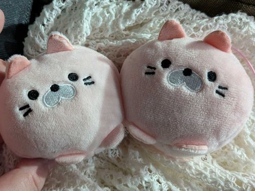 じつはぼくには きょうだいがいるよ。
どっちがぼくか わかるかな。