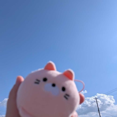 かいぬし そらが あおいよ
