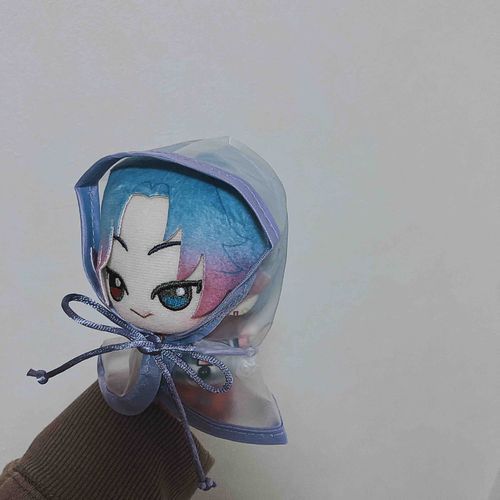 レインコート着たねたぬ。雪が降っても大丈夫❄️