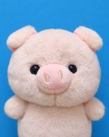 ぶーちゃん