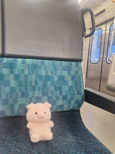 ぶーちゃんをお出迎えして、
電車でお家行くときのお写真。
大切にするからね。
