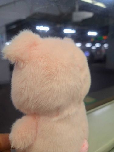 はじめてのお外の世界はびっくりだったね。
大丈夫、こわくないよ。